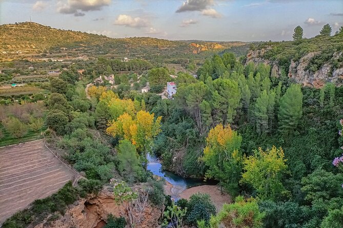 Hiking Experience Between Waterfalls in Buñol From Valencia - Cultural Insights and Paella