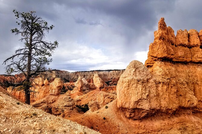 Hiking Experience in Bryce Canyon National Park - Meeting and Pickup Logistics