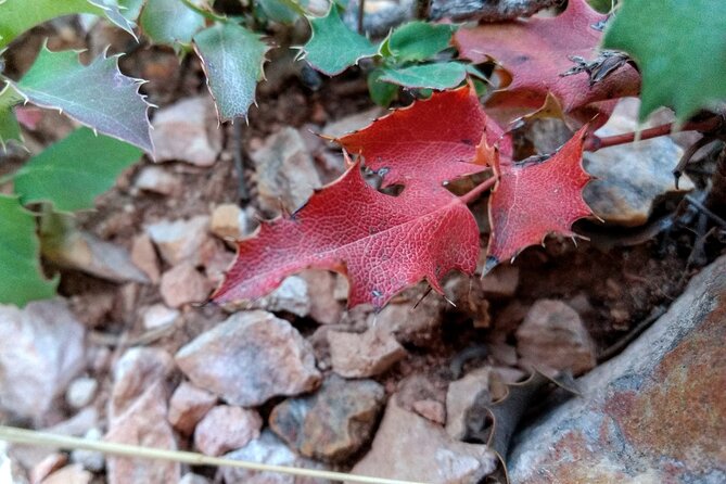 Hiking Experience in Bryce Canyon National Park - Travel Recommendations