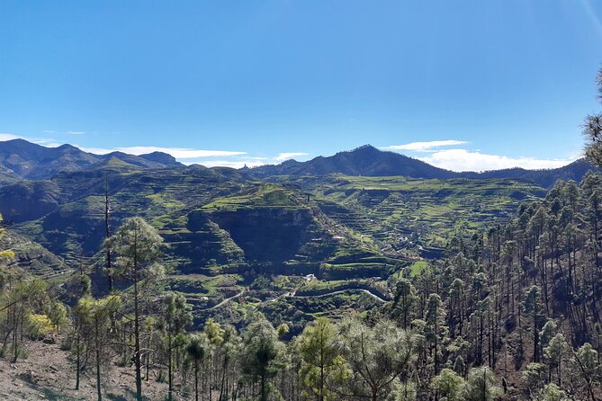 Hiking Experience in the North of Gran Canaria - The Hiking Adventure Awaits