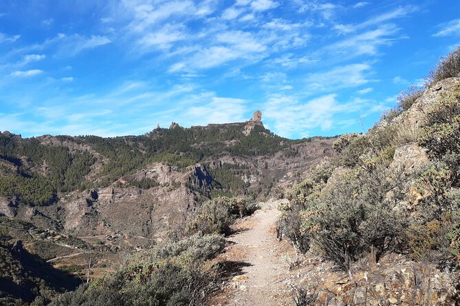 Hiking Experience in the North of Gran Canaria - Weather Considerations and Cancellations