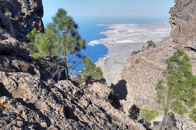 Hiking Experience in the North of Gran Canaria - The Hiking Experience Ratings