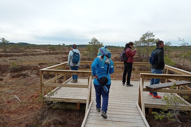 Hiking Experience in Torronsuo National Park With Backpacker Helsinki Tour - Inclusions