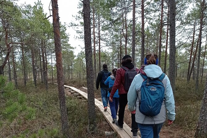 Hiking Experience in Torronsuo National Park With Backpacker Helsinki Tour - Booking Information