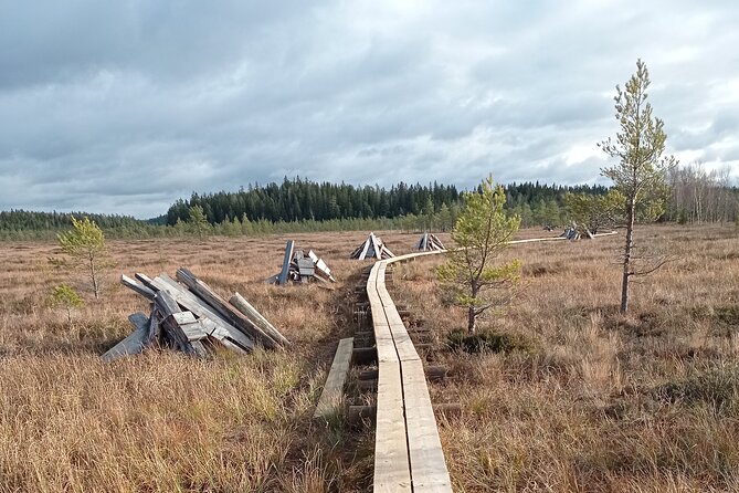 Hiking Experience in Torronsuo National Park With Backpacker Helsinki Tour - Review Summary