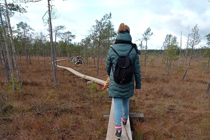 Hiking Experience in Torronsuo National Park With Backpacker Helsinki Tour - Getting to the Meeting Point