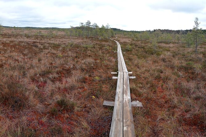 Hiking Experience in Torronsuo National Park With Backpacker Helsinki Tour - Returning to the Meeting Point