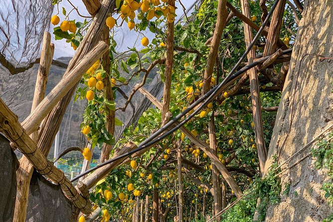Hiking Experience - Ravello & Path of the Lemons - Meeting and Endpoint Details