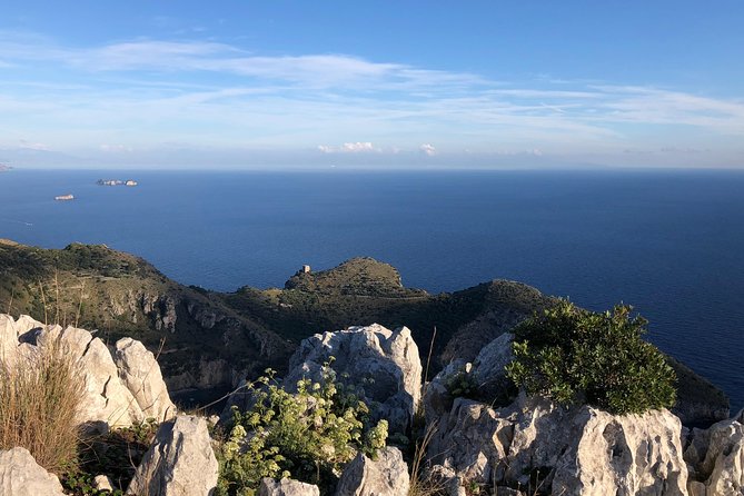 Hiking Experience - Sorrento Coast Punta Campanella Capri View - Group Size and Exclusivity