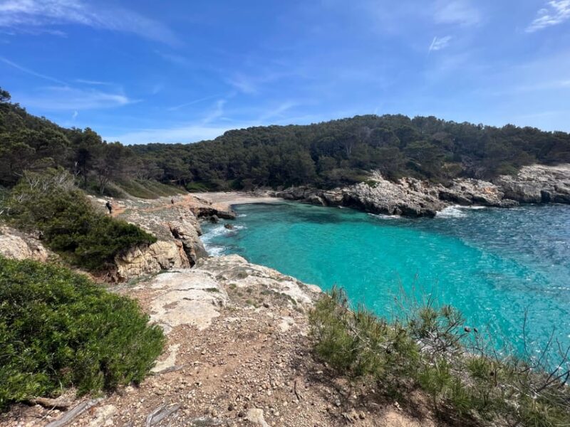 Hiking Experiences in Menorca Private Guided Half Day - Inclusions and Amenities