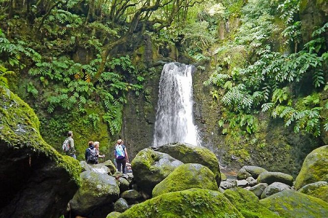 Hiking Faial Da Terra + Van Tour Nordeste - Participant Requirements