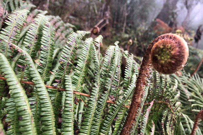 Hiking Fansipan in 1 Day - Packing Essentials