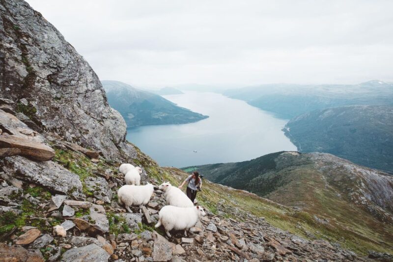 Hiking - Full Day - Experience Highlights