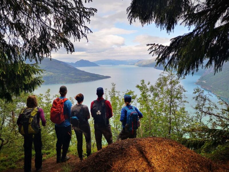 Hiking - Full Day - Fitness Requirements