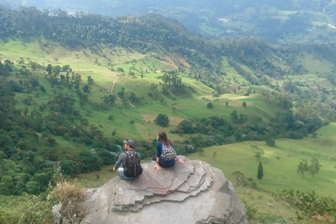 Hiking High Andean Forests - Key Points