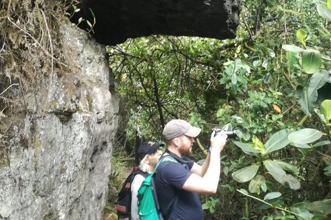 Hiking High Andean Forests - Additional Fees