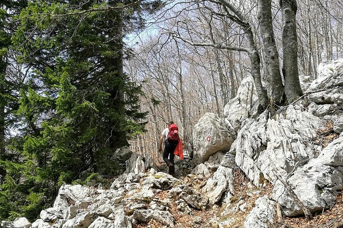 Hiking - Hike Toru Klek - About Your Stay