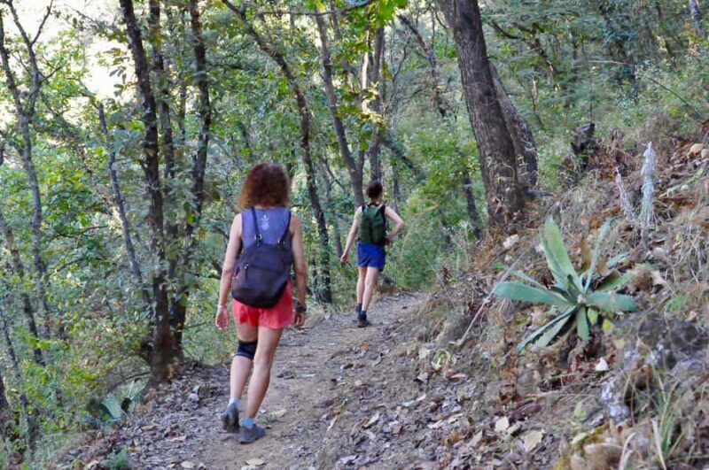 Hiking in Benito Juárez National Park - An Introduction to the Experience