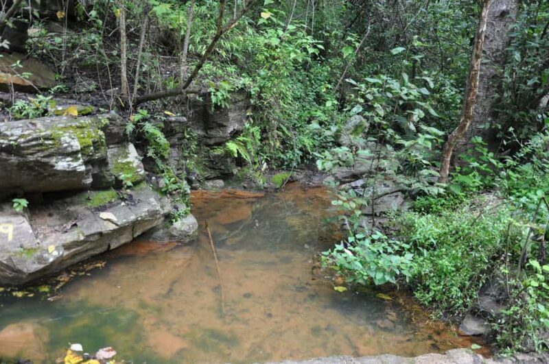 Hiking in Benito Juárez National Park - What to Expect: Practical Details