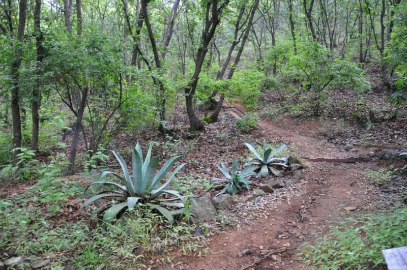 Hiking in Benito Juárez National Park - The Sum Up