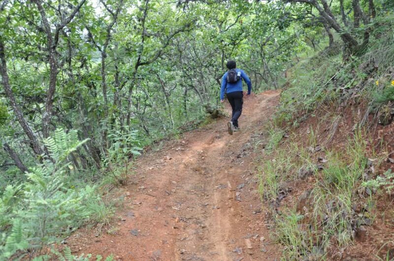 Hiking in Benito Juárez National Park - FAQ