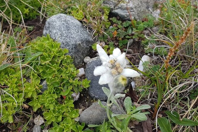 Hiking in Bucegi Mountains in the Carpathians, Private Tour - Customer Reviews