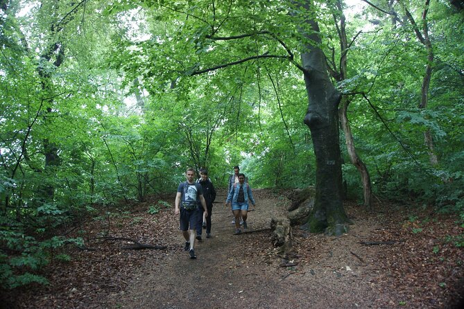 Hiking in Budapest - Guided Hike Experience