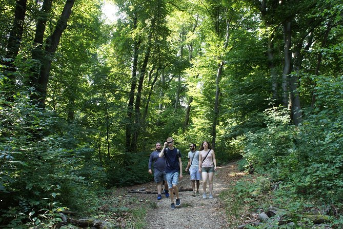 Hiking in Budapest - Off-the-Beaten-Path Trails