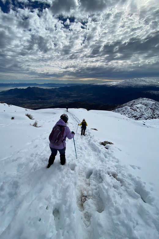 Hiking in Cerro Provincia, Santiago De Chile - Booking and Cancellation