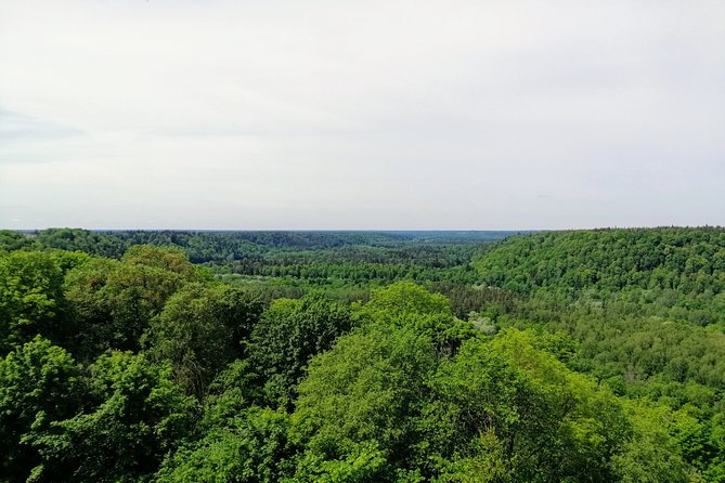 Hiking in Gauja National Park - Optional Activities for Adventurers