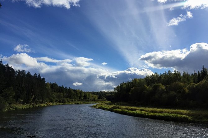 Hiking in Gauja National Park - Transportation and Logistics