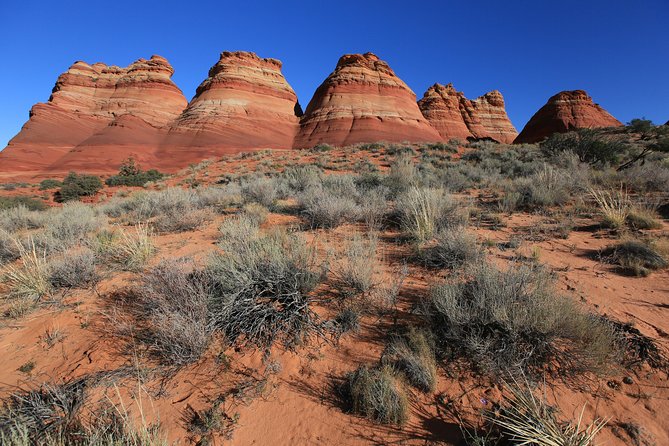 Hiking in Kanab: Famous Teepees of Vermilion Cliffs National Monument Near Wave - Operator and Pricing