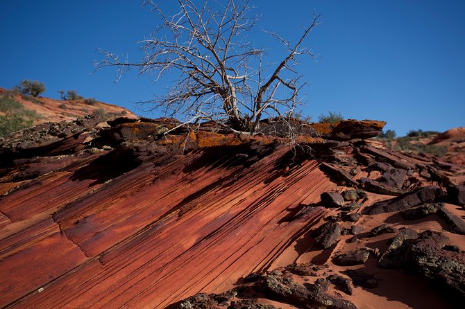 Hiking in Kanab: Walk and Photograph the Incredible Wire Pass Slot Canyon! - Inclusions and What to Expect