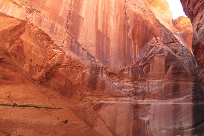 Hiking in Kanab: Walk and Photograph the Incredible Wire Pass Slot Canyon! - Photographers Delight: Capturing the Scenery