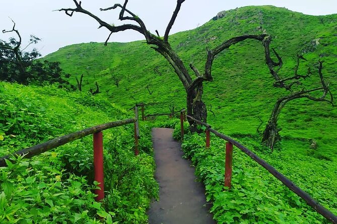 Hiking in Lima, Lomas De Lachay - Meeting Points and Accessibility