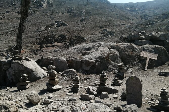 Hiking in Lima, Lomas De Lachay - Pricing and Booking Information