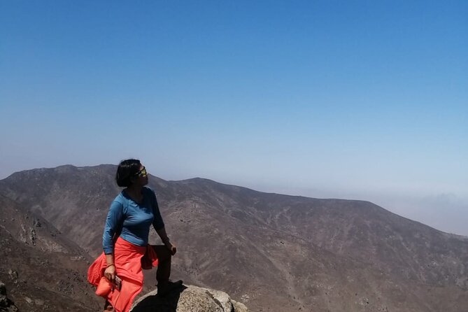 Hiking in Lima, Lomas De Lachay - Wildlife and Natural Wonders