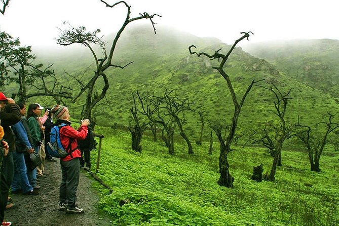 Hiking in Lima, Lomas De Lachay - Connecting With Nature