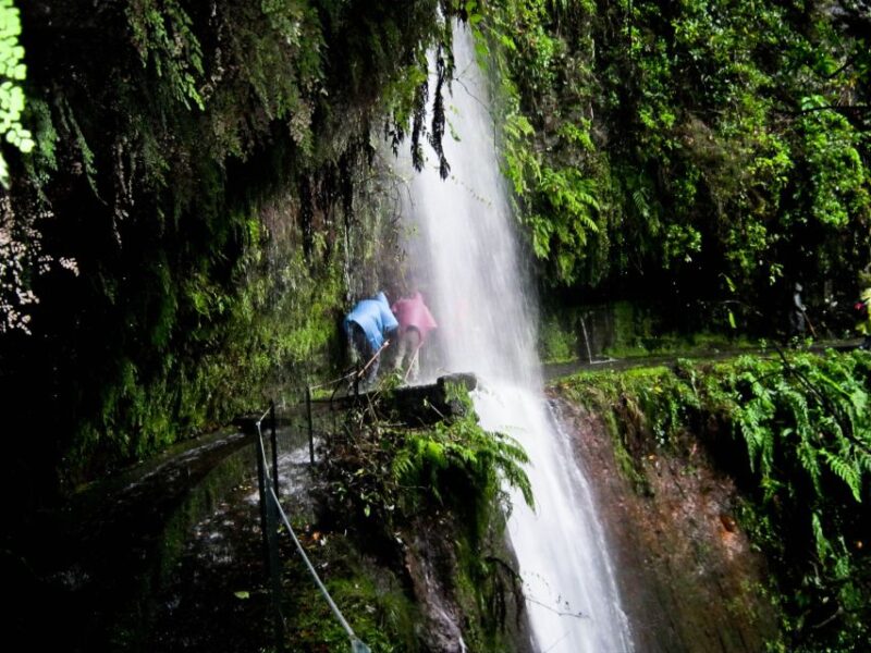 Hiking in Madeira: the Serene Levada Do Rei Experience - Key Points