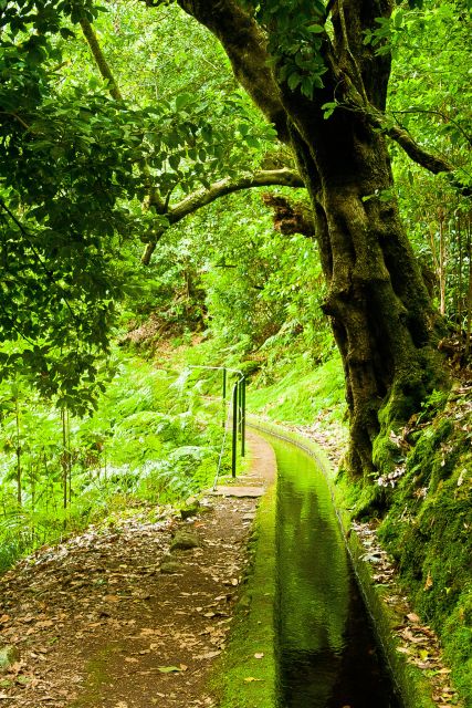 Hiking in Madeira: the Serene Levada Do Rei Experience - Itinerary Details