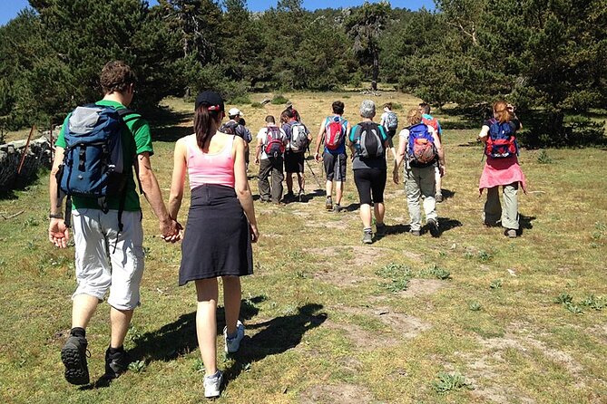 Hiking in Madrid National Park - Natural Beauty of Sierra De Guadarrama