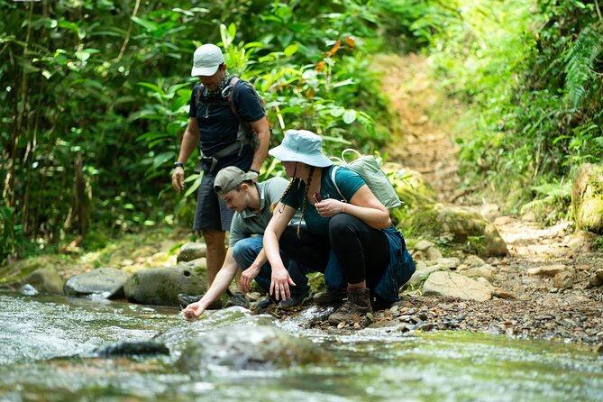 Hiking in Pance on the Mountain Range Near the Farallones De Cali - Picturesque Natural Pools
