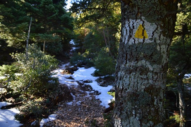 Hiking in Parnitha National Park From Athens - Hiking Trails and Difficulty Levels