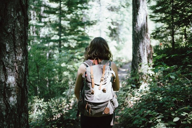 Hiking in Parnitha National Park From Athens - Private Transportation and Logistics
