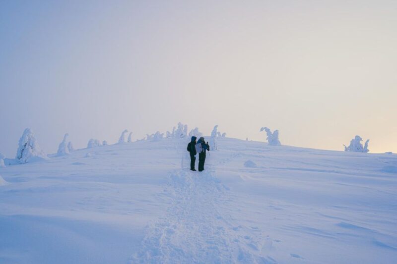 Hiking in Riisitunturi National Park With Photographer - Experience Highlights