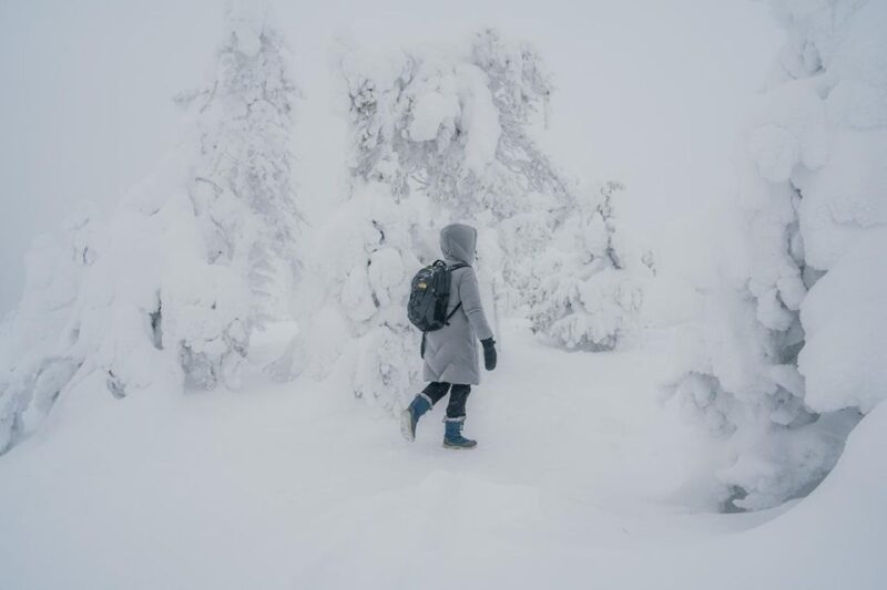 Hiking in Riisitunturi National Park With Photographer - Inclusions and Requirements