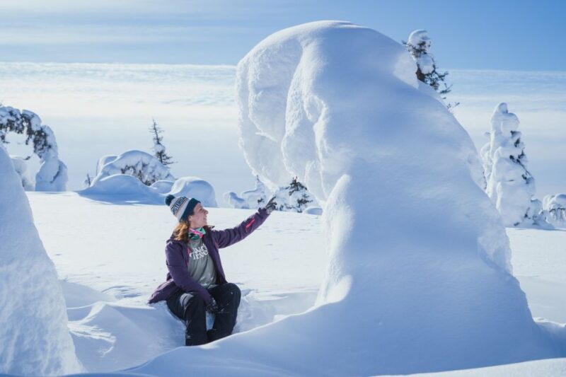 Hiking in Riisitunturi National Park With Photographer - Customer Reviews