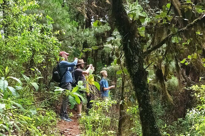 Hiking in Sierra Norte the most spectacular trails in Oaxaca - Frequently Asked Questions