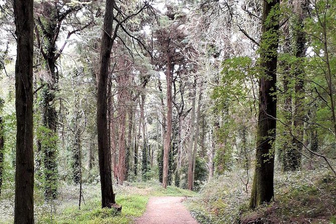 Hiking in Sintra-Cascais Natural Park - Pricing and Group Size