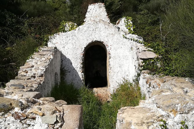 Hiking in Sintra-Cascais Natural Park - Fitness and Accessibility Requirements